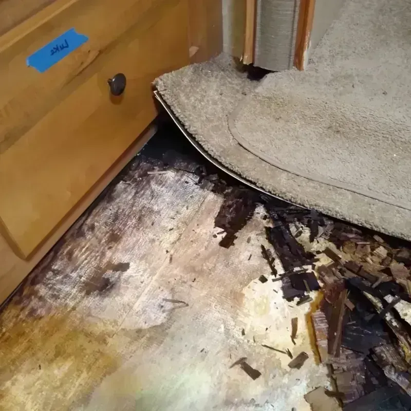 Best Wood Floor Water Damage Service in Lynn, IN